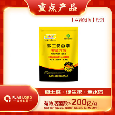 双藻冠菌