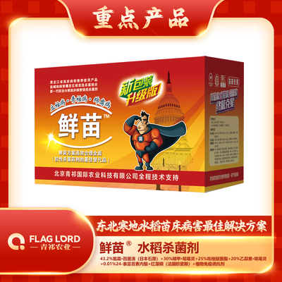 鲜苗