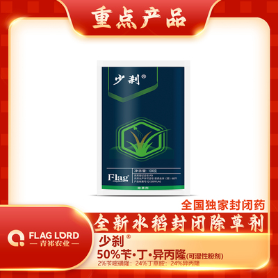 少刹