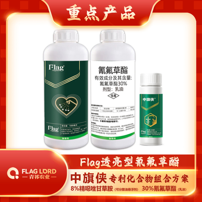 中旗侠组合