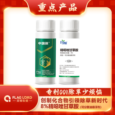 中旗侠