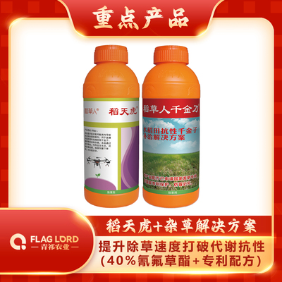 稻千金组合