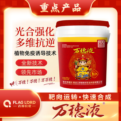 万穗液（返青柯叉期）