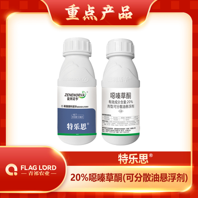 特乐思