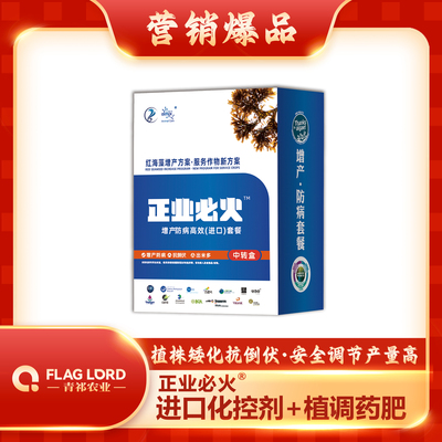 正业必火