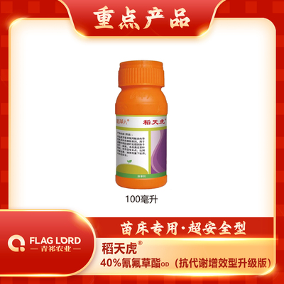小稻天虎